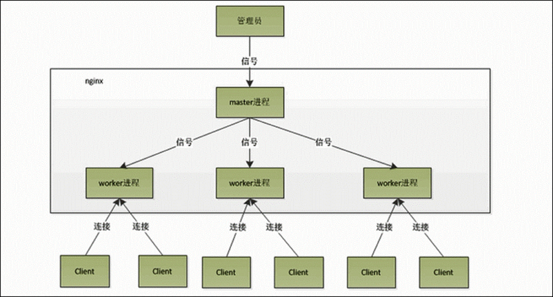 Nginx - 原理机制