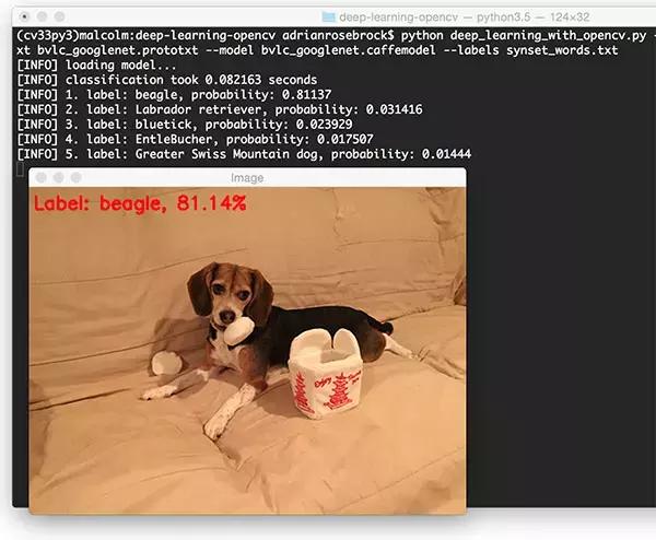 python使用opencv基于GoogLeNet 模型识别图片！