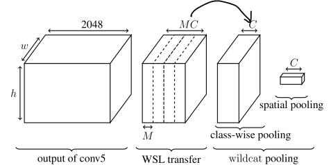 17-WILDCAT-Weakly-Supervised-Learning-of-DeepConvNets