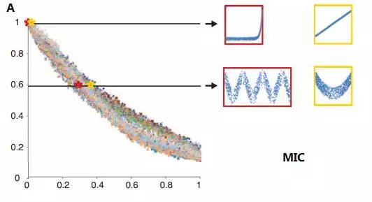 MIC 系数变化规律