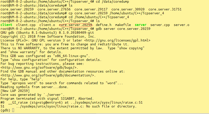 mpi stack smashing detected c++