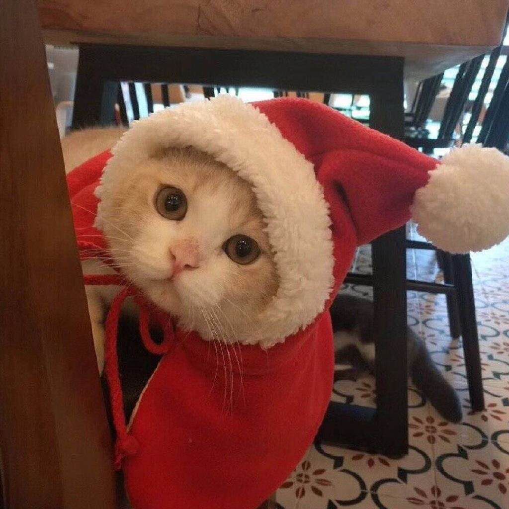 又是一年一度的平安夜,祝各位小伙伴 merry xmas