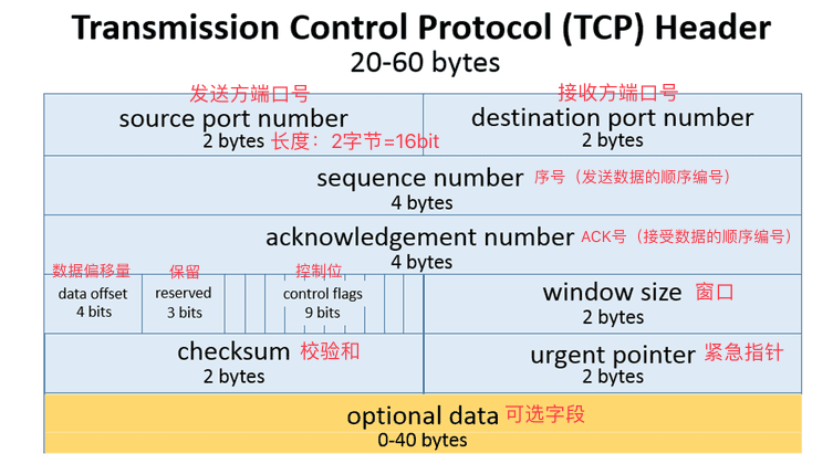 tcp-header