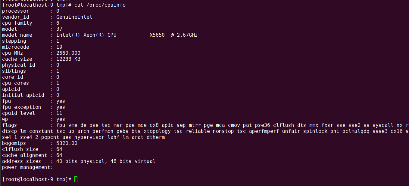 cpuinfo cpu cores