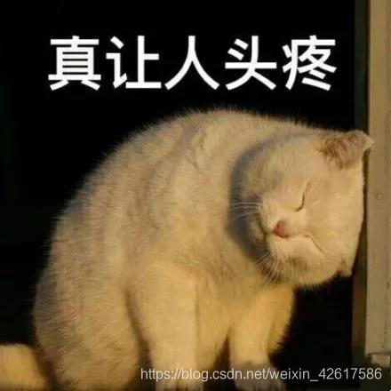fighting