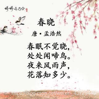 《春晓》进阶知识