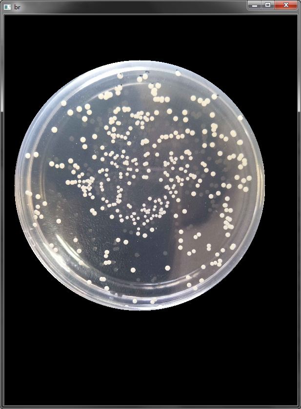 数量检测【hough,边缘分割,区域提取】_opencv 菌落计数-csdn博客
