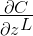 \LARGE ^{\frac{\partial C}{\partial z^L}}