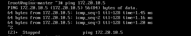 CentOS7  NAT模式设置固定IP