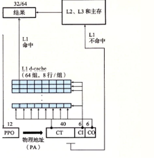 Hello的一生