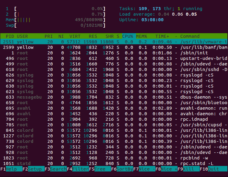 htop 自定义显示