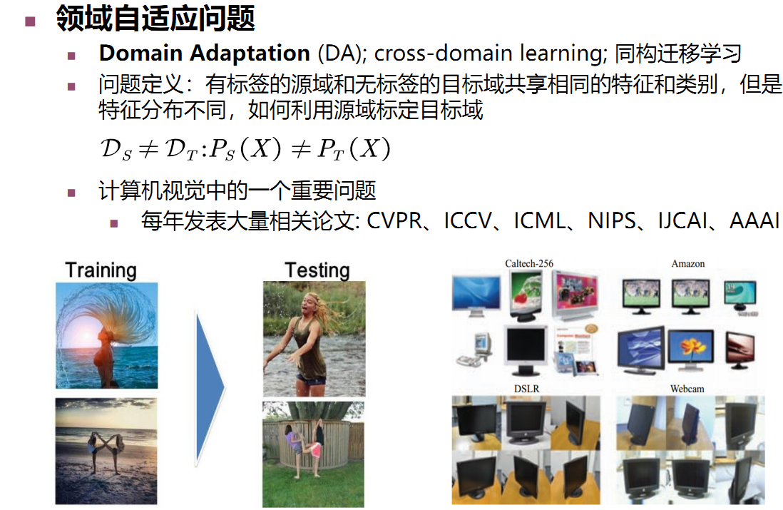 领域自适应（同构迁移学习）_迁移学习,什么时候可以领域适应?如何判断是否可行-CSDN博客