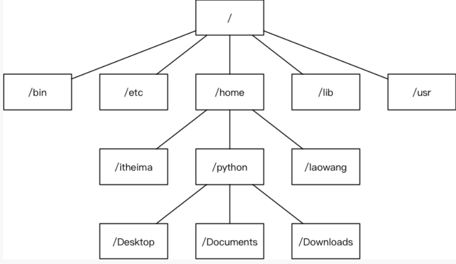 Корневая система linux. Корневая система linux