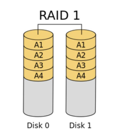 RAID1