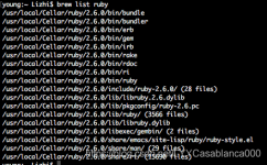 You Don'T Have Write Permissions For The /Library/Ruby/Gems/2.3.0 Directory.  解决方法_普通网友的博客-Csdn博客