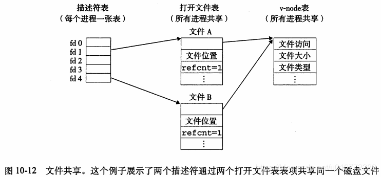 文件共享