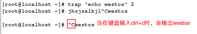 Linux常用信号与信号捕捉（trap命令）