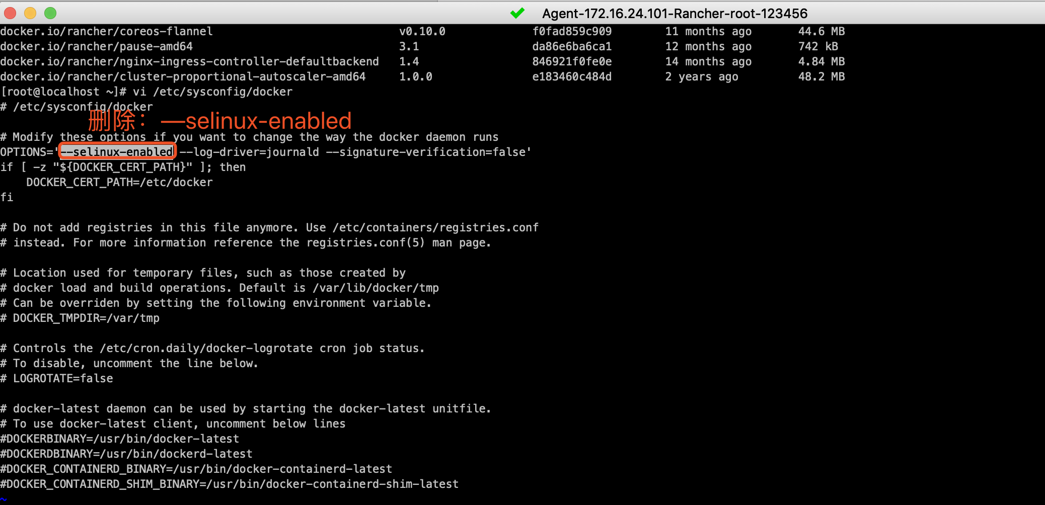 standard_init_linux.go178 exec user process caused