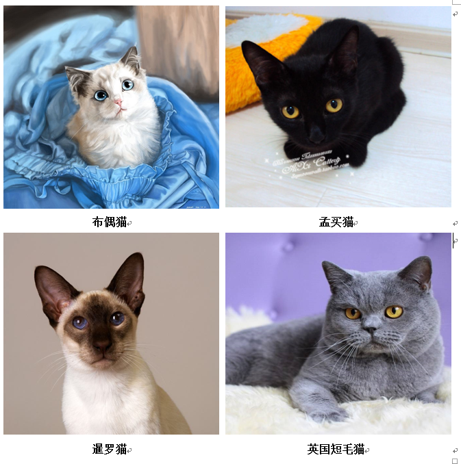 神经网络实现猫的种类识别