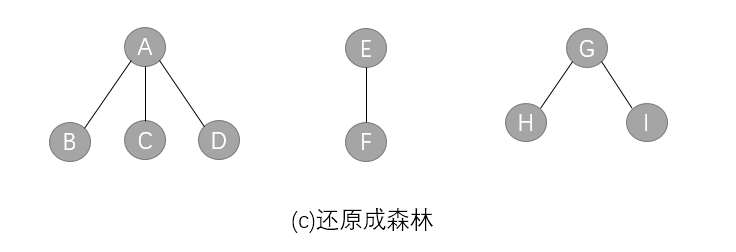 二叉树与树、森林之间的转换