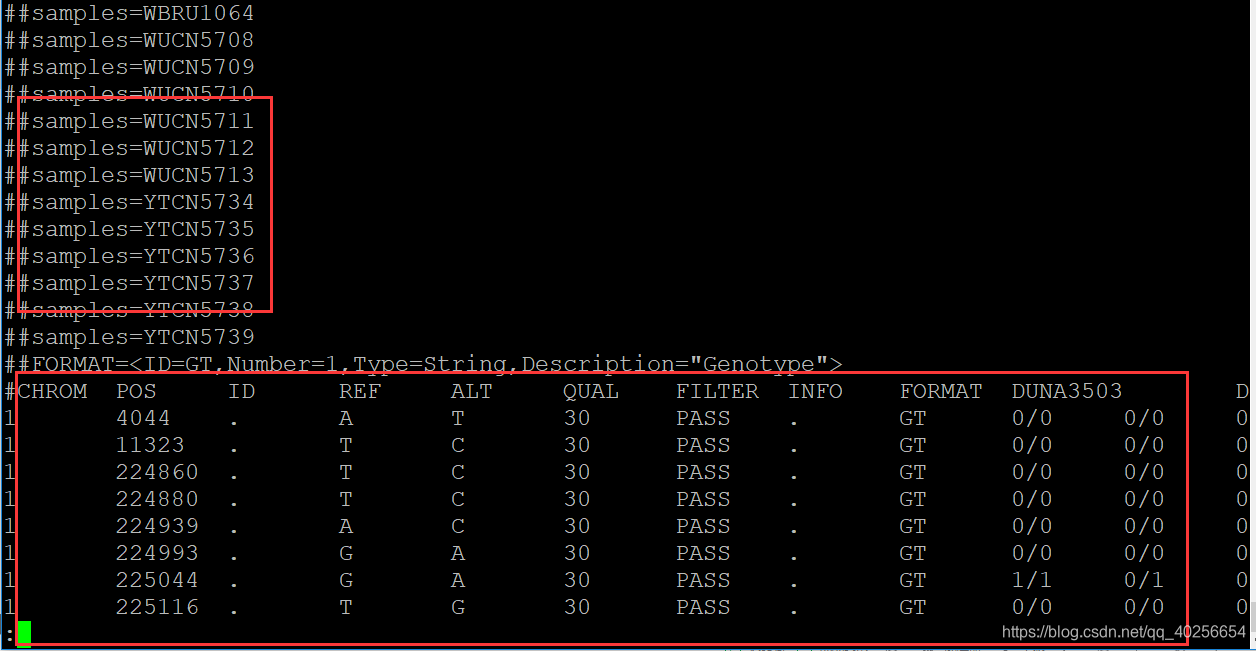 VCF 文件 格式 详解_ref alt-CSDN博客