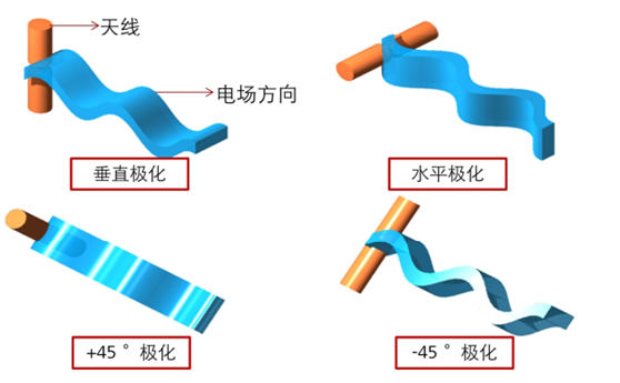 ���������ͼƬ����