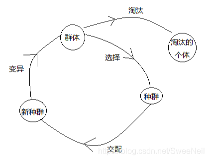 遗传算法的基础知识与编程