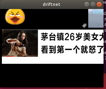 Ettercap系列 II：基于命令行界面(结合driftnet截获目标机器正在浏览的图片)