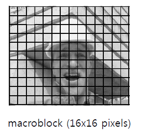 16*16像素块分割