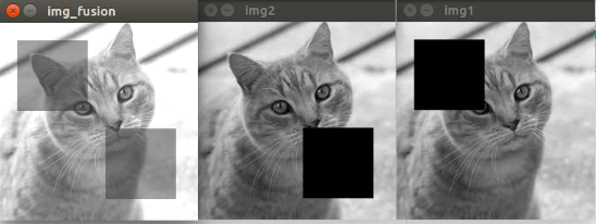 Python_OpenCV进行图像的简单操作_cv2.imread('cat.jpg')-CSDN博客