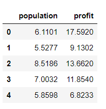 前5个样本