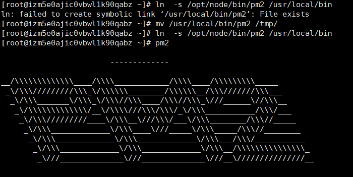 failed to create symbolic link ‘/usr/local/bin/pm2’: File exists