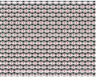 图一:白图像显示估计的微透镜中心,如红点所示