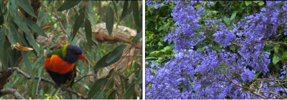 图3:编码和颜色校正后的Illum图像,手动通过调整到0.7度的伽马校正