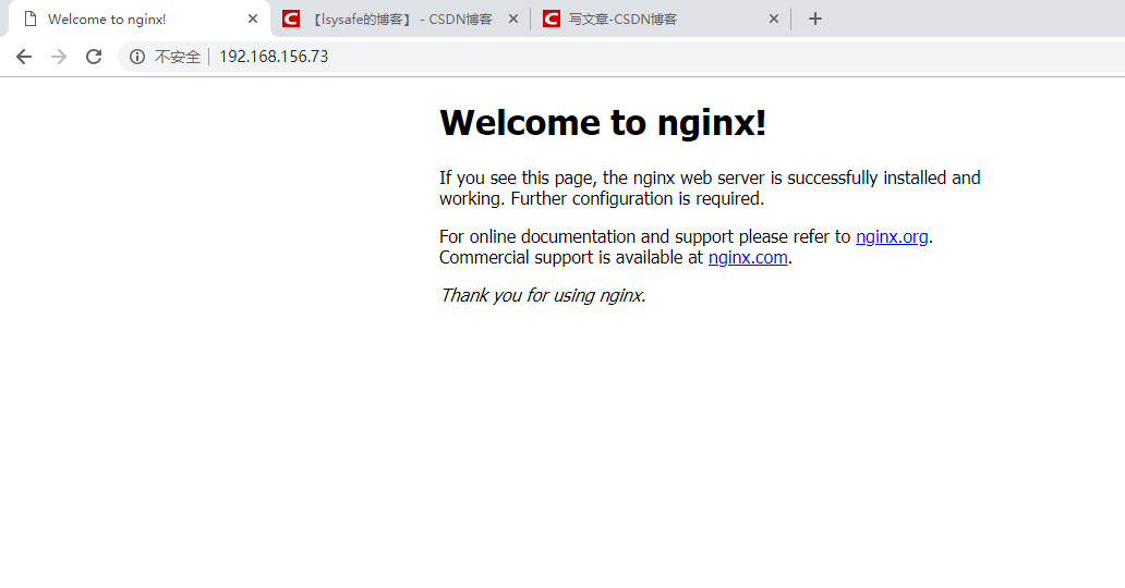 Установка nginx. Nginx/1.18.0 (ubuntu). nginx/1.18.0. nginx/1.17.2.