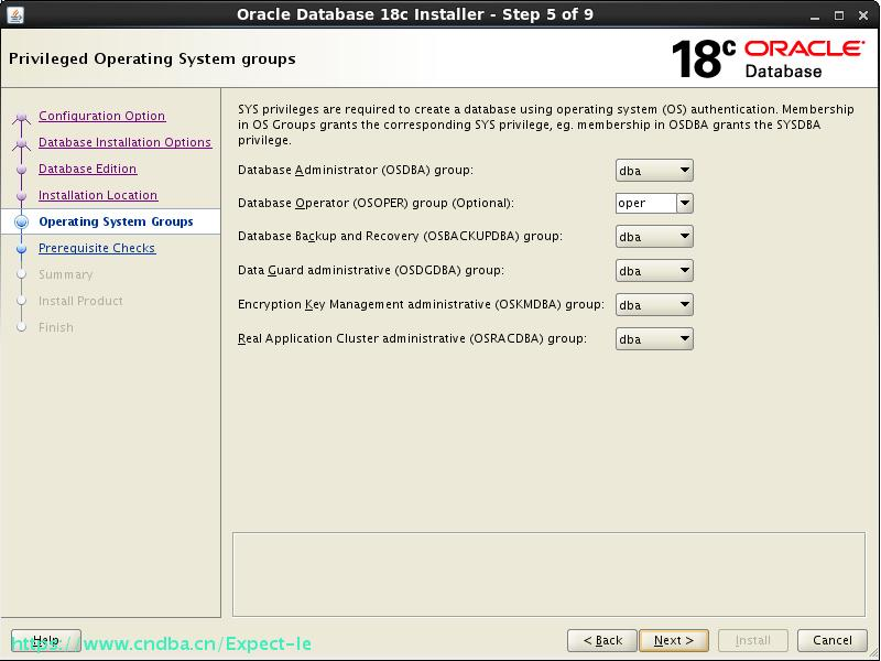 [点击并拖拽以移动]