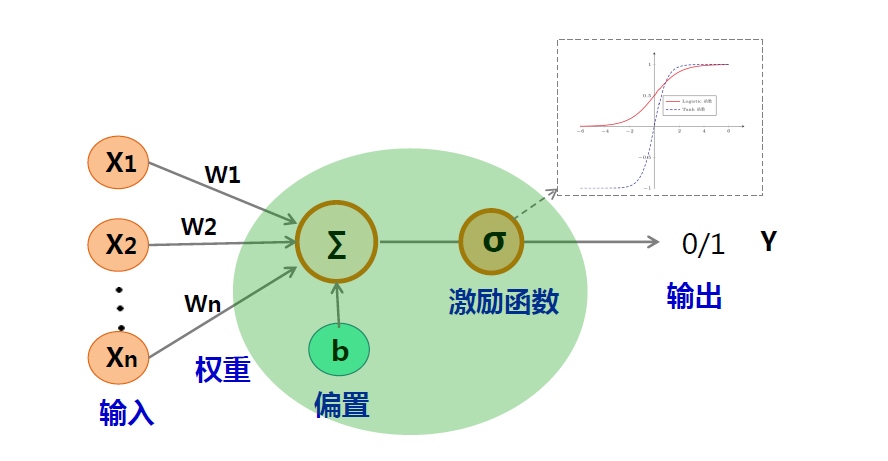 神经元模型