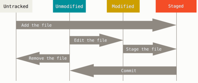 The life cycle of Git's file