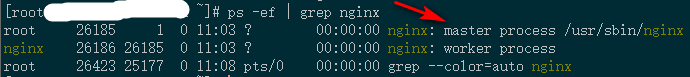 Nginx进程号查看