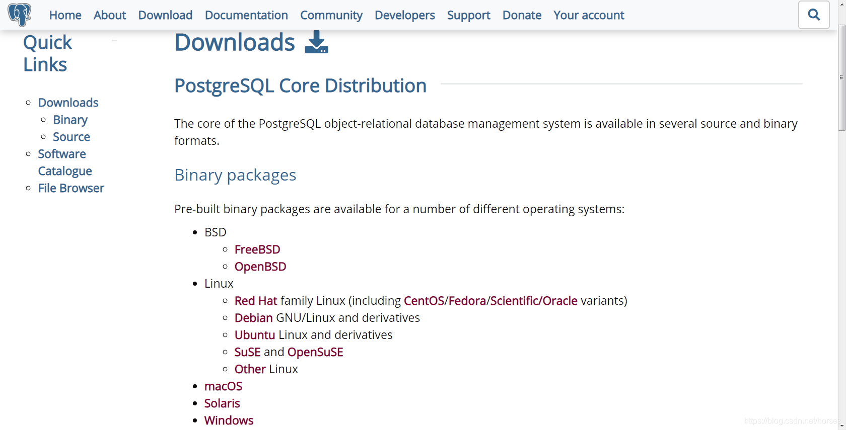 Binary packages