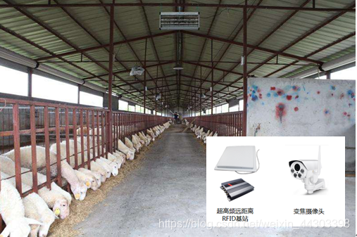 图2 基于RFID超高频基站示意图