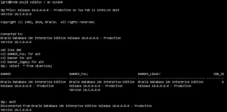 Oracle Grid Infrastructure 18.3.0 更新 PSU 18.5.0