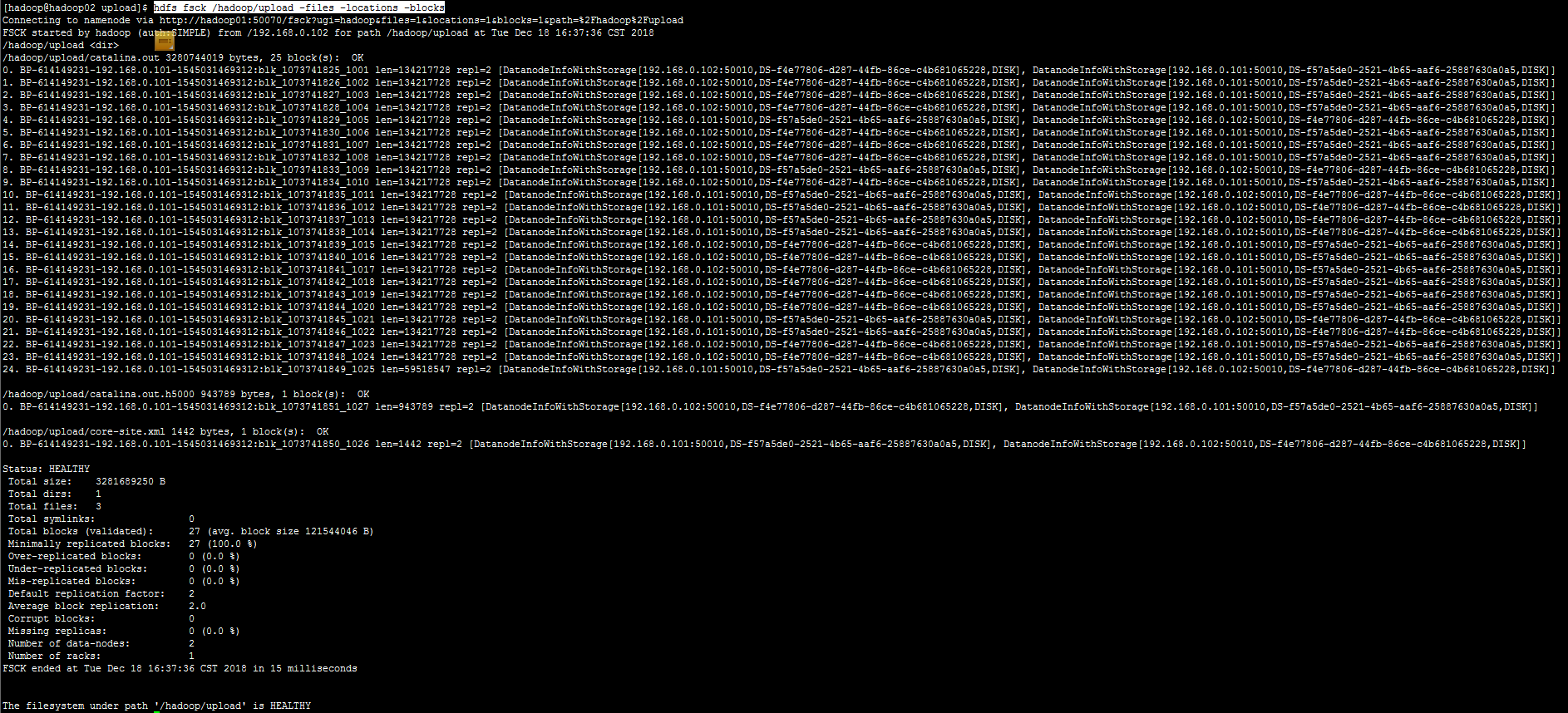 查看所有文件分块存储结点信息