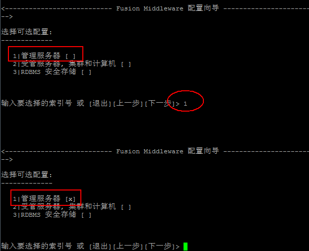图9:配置为管理服务器