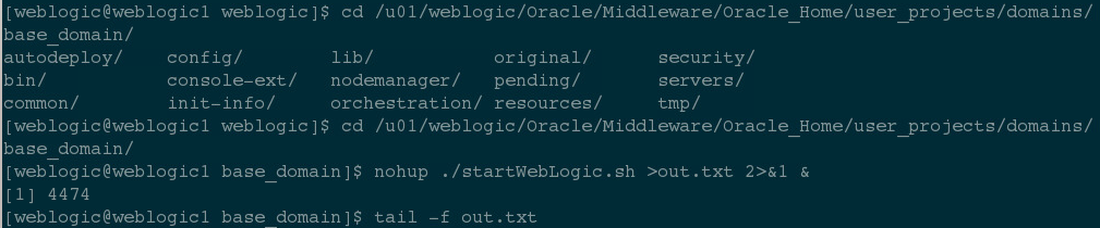 图12:启动管理服务器