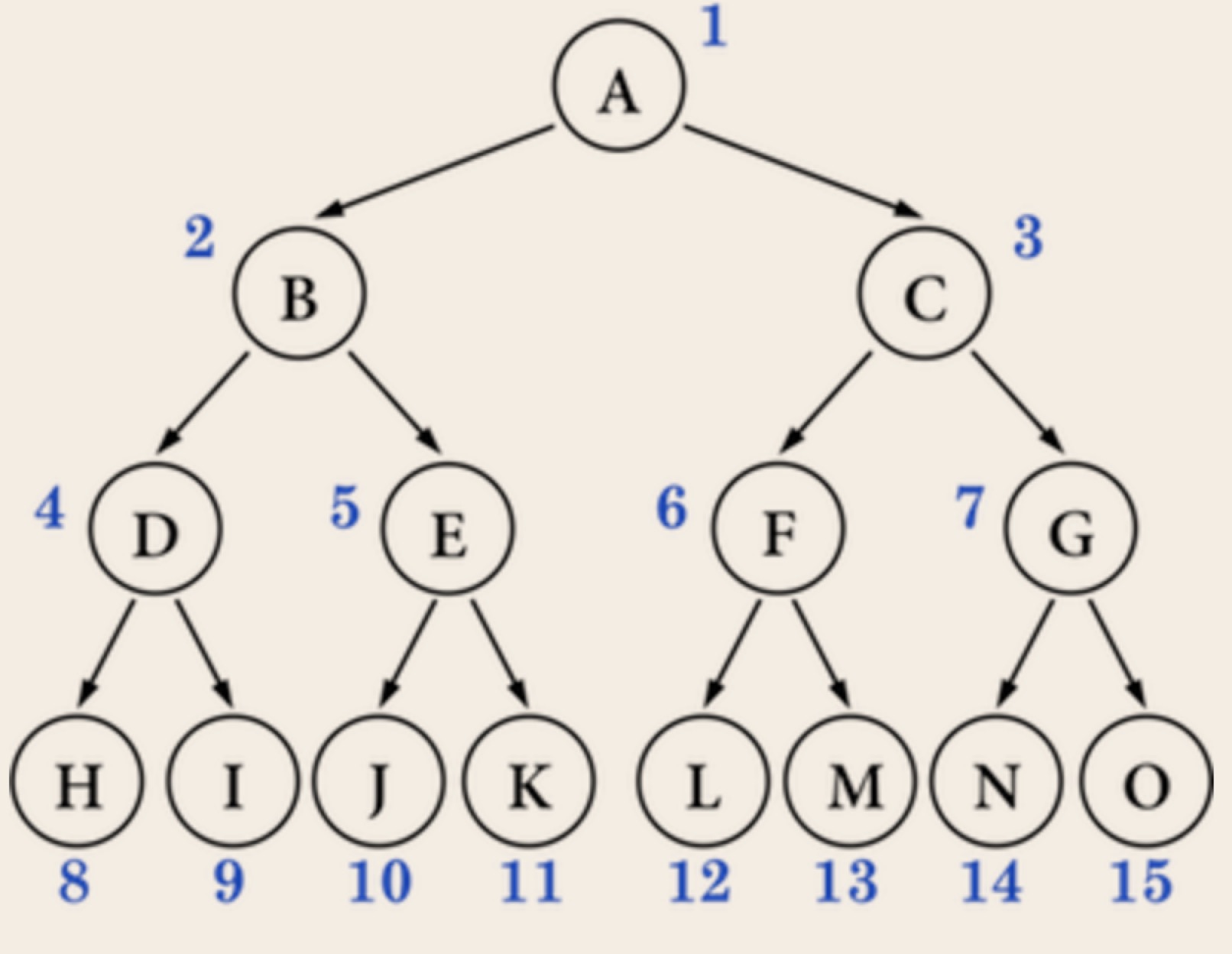 1 满二叉树(也叫完美二叉树)在一颗二叉树中,如果所有分支结点都存在