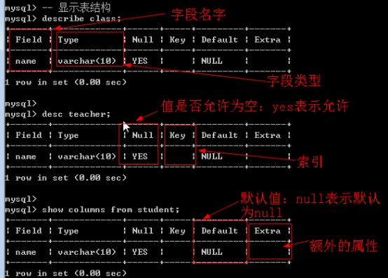 如何利用MySQL获取数据库表的元数据？