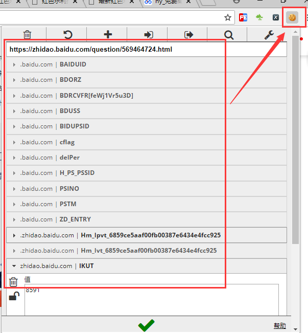 ie11 cookie viewer