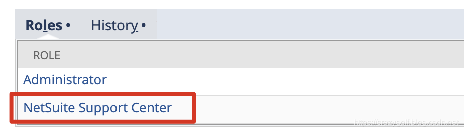NetSuite Support center roles