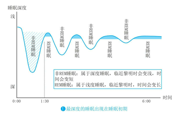 睡眠周期